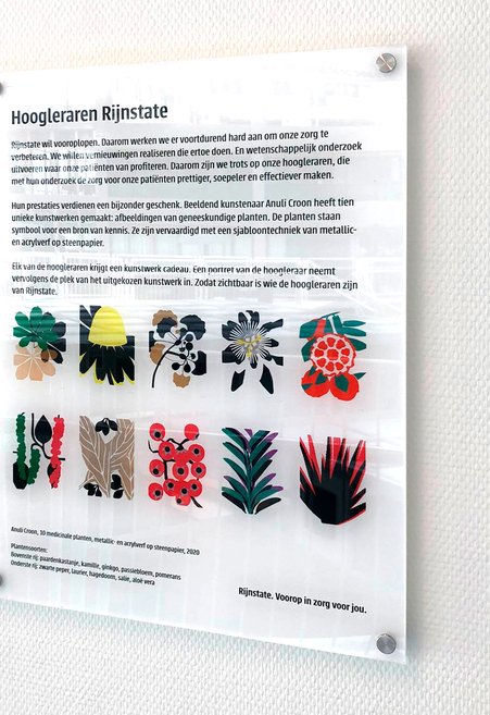 Medicinale Plants for Rijnstate Hospital 2020 Anuli Croon _ Photography: Jeroen Glas